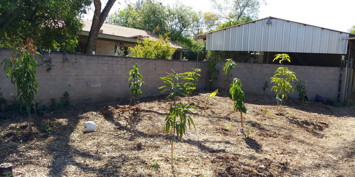 RyanBowden_MET's tweet photo. Helped plant trees this weekend, its always good to give back, and help out mother nature #PeoriaMET #PeoriaMETTech https://t.co/XUeniP0KMf