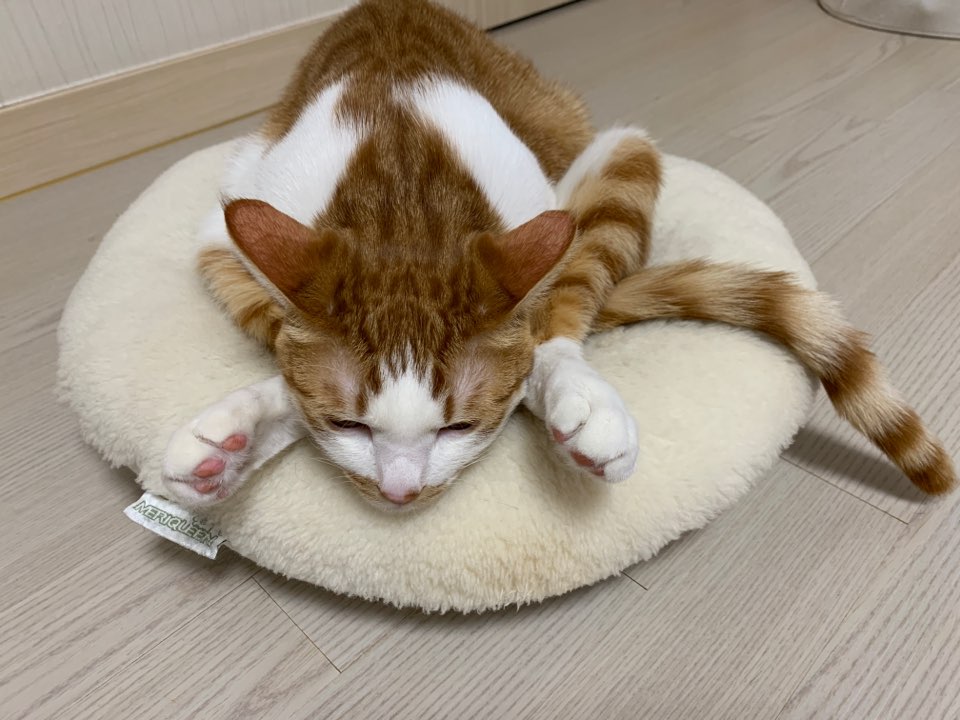 Heeh00ya's tweet photo. 자 숨을 깊게 내쉬고...      회원님 허리를 더           하나.... 둘....                    곧게 펴셔야죠!!! https://t.co/uQZjISOHT2