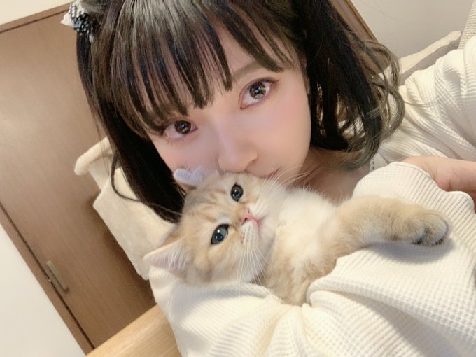 コスプレイヤー橘子のTwitter画像26
