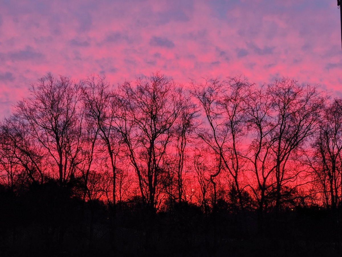 MicheleNiec's tweet photo. The view from our @davidsonacademy campus was spectacular this morning. #Godsfilter #sunrise #nashville https://t.co/qFlfe0pWsa