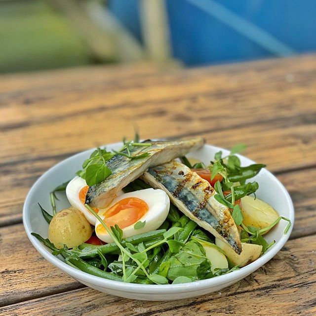 Niçoise Salad with Grilled Line-Caught Mackerel. If this doesn’t make your mouth water.... #TheMontpelier #Peckham #GoodFood⁠
⁠
📅Kitchen open times:⁠
Monday to Friday 12-3, 6-10⁠
Saturday 12-9⁠
Sunday 12-8⁠
📍 The Montpelier, 43 Choumert Rd, Peckh… ift.tt/3azpX22