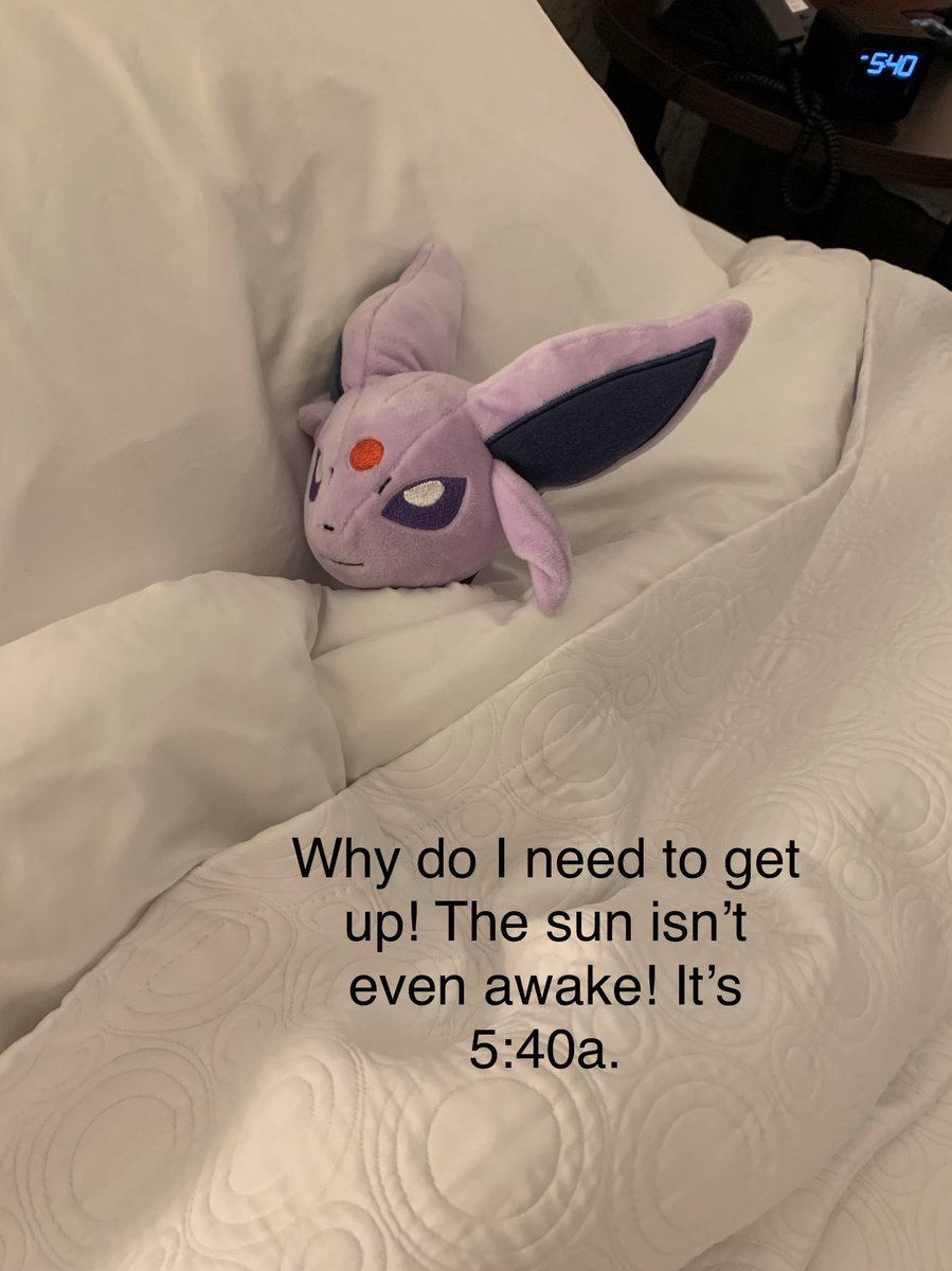 PokemonPlushie's tweet photo. #espeon doesn’t want to wake up! #tooearly #sleepingbeauty @pokemon @pokemon_jpn #pokemon #pokémon #pokemonswordshield #pokemongo #pokemonmemes Watch our own Kadie-Mon open Pokémon Cards #pokemoncards on YouTube https://t.co/almFzppKpu https://t.co/CyQdos4amp
