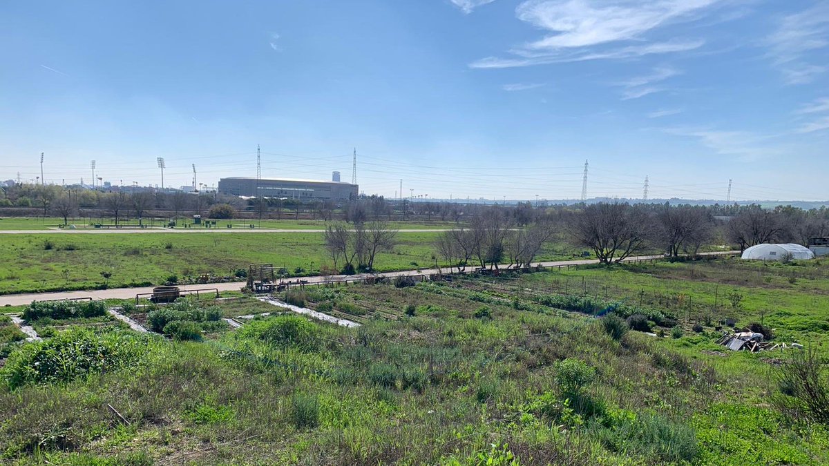 Humana3C's tweet photo. 📢 Queremos seguir construyendo comunidad, luchando contra el cambio climático y fortaleciendo la seguridad alimentaria de Sevilla @triodoses #crowdfunding #Humana3C #AgriculturaEco #Solidaridad
¿Nos ayudas con nuestro huerto social de Isla de Tercia?
https://t.co/sJAclD9Acu https://t.co/jBCaolgWag