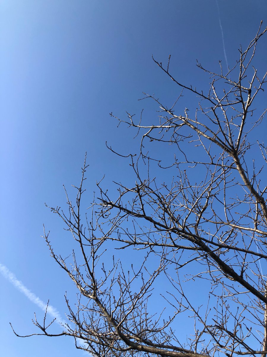 雑踏の片隅で 雑踏の片隅で