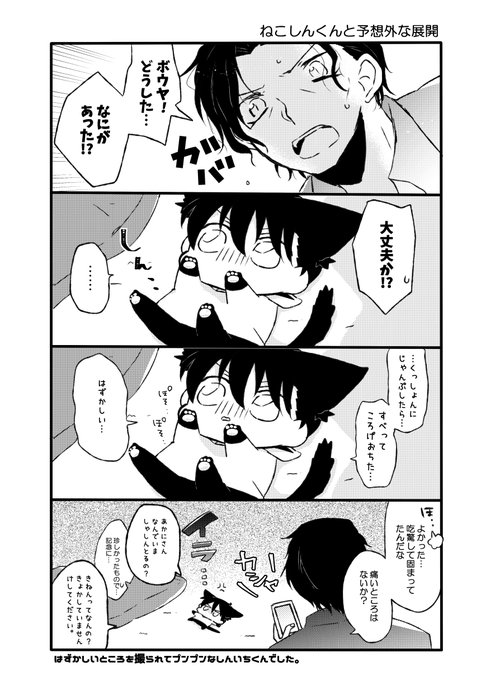 ねこしんくんと予想外な展開 