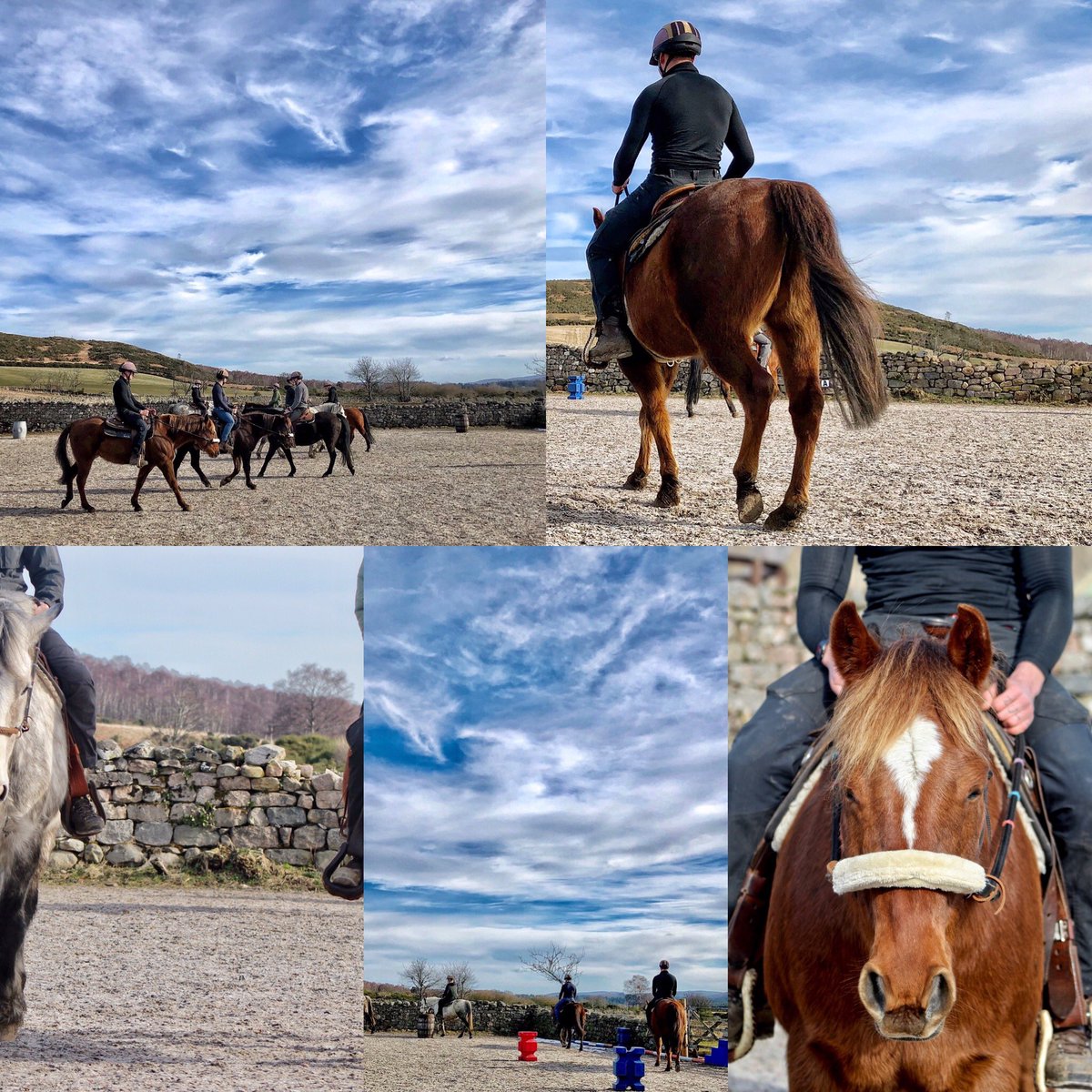 Today our serving <a href="/RoyalMarines/">Royal Marines</a> will take part in the ride out <a href="/HorseBackUK/">HorseBack UK</a> . Everyone who does one of our courses looks forward to this part of the programme,as riding out in the <a href="/Glen_Tanar/">Glen Tanar</a> estate is an awesome experience.