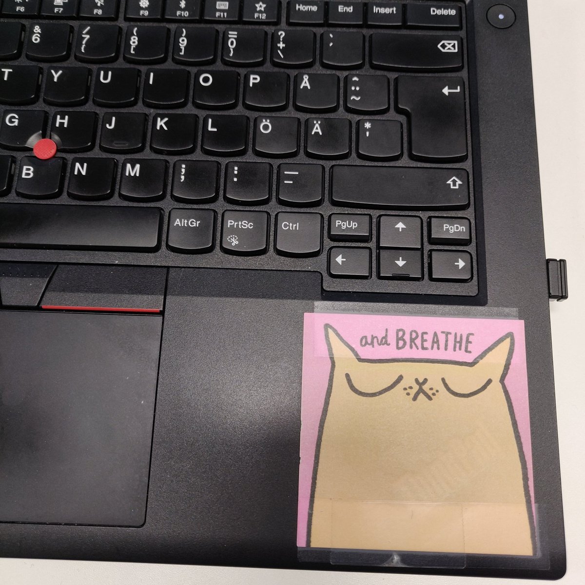 #elämäkuvina-haaste: Ei sanoja, ei ihmisiä. Haasta päivittäin seuraava.  7/7 päivä hieman viiveellä 😁 🧘‍♀️