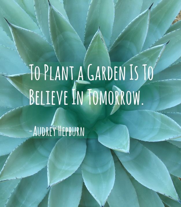 #MotivationMonday