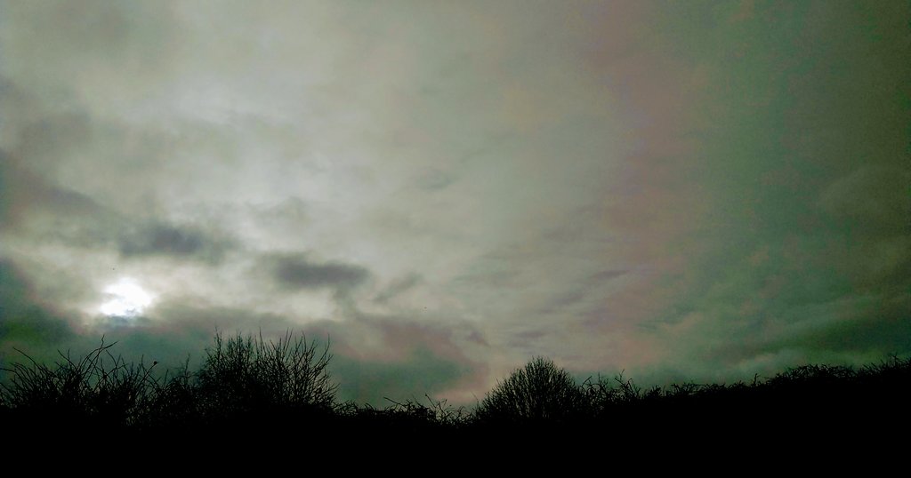 lgibson12397's tweet photo. morning all

it's #MondayMorning and although it's "nothing to write home about" there is always something special to be found in every new sunrise✨

wishing you a day of wonder💫
be safe

#myphoto #photographer #PHOTOS #nature #NaturePhotography #mentalhealth #MondayMotivaton https://t.co/RGr8iq0t1u