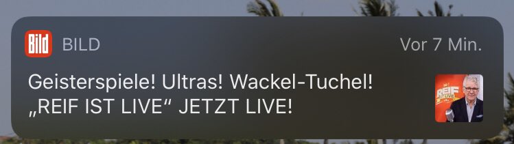 „Hier! Hallo?! 👋🏻 HIER! 🙋🏻‍♂️ HIER!!! Guck mich an! 😡 EY! ... Ich sagte: GUCK MICH GOTTVERDAMMTNOCHMAL AN WENN ICH LIVE BIN!!1!111!1!!!!“