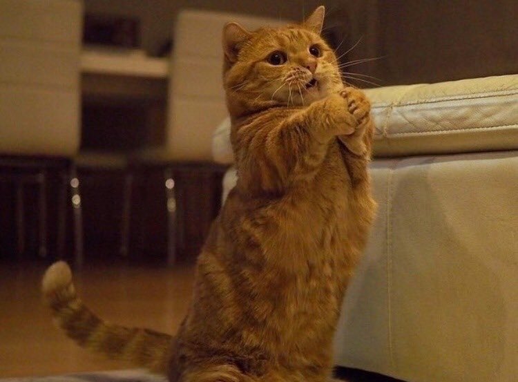 ขอกินหน่อยยยยยย