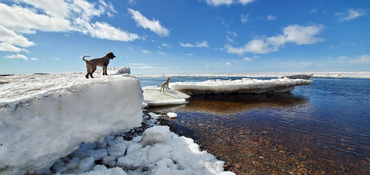 keepexploringCB's tweet photo. What is a Funday Sunday on Cape Breton Island? It starts with a walk on the beach, moving onto a bonfire & a beer, sunset and finishing it off with a full moon over the mountains #sundayfun #beach #bonfire #beer #sunset #fullmoon #explorecbwinter #visitcapebretonisland https://t.co/jDKZR2UOTS