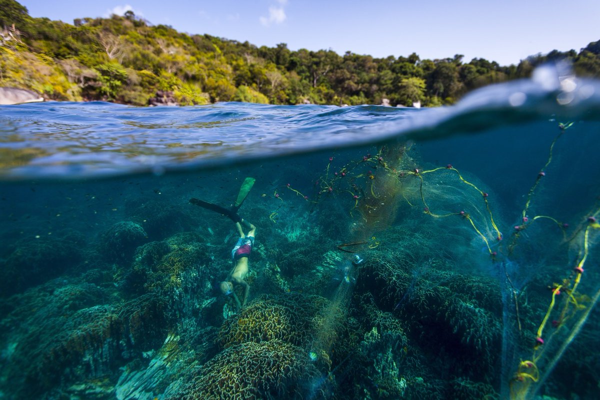 This week in 'An Interview with WiseOceans' we chat to… Manuel Marinelli, Founder and Director of @ProjectManaia. Manuel couldn’t find his dream job so set about creating it himself. He also talks about the power of persistence…never give up! Read more wiseoceans.com/an-interview-w…