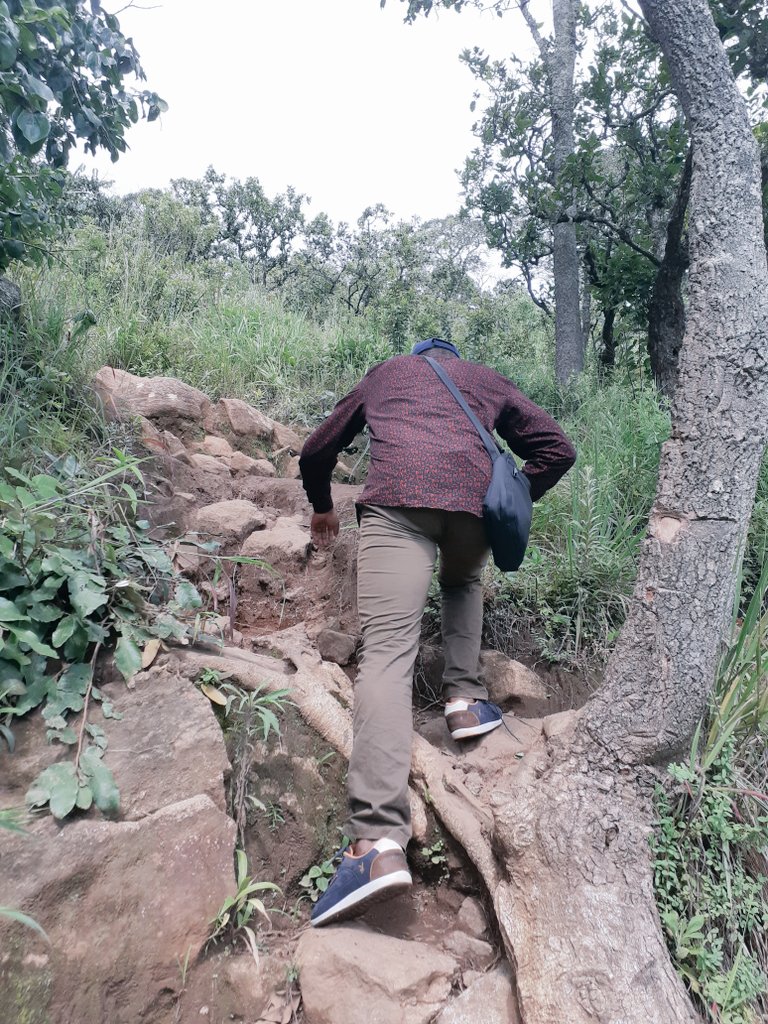 MkwalaMike's tweet photo. Micah 7:7
"Therefore I will look to the LORD; I will wait for the God of my salvation: my God will hear me." https://t.co/LPUWq7qkox