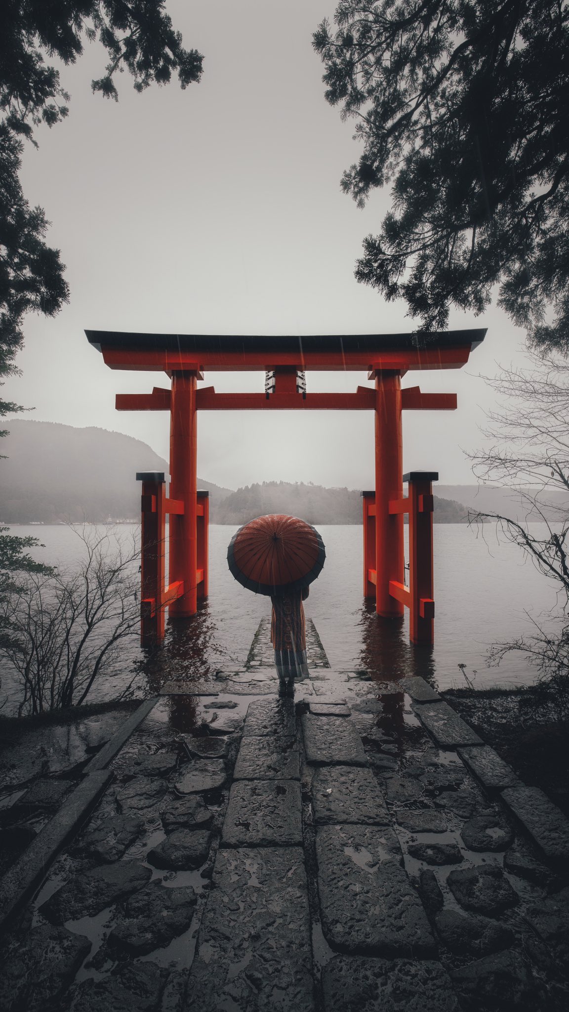 510 على تويتر 雨の箱根神社 平和の鳥居が神秘的なので見て欲しい 壁紙サイズにしたので是非タップして見て下さい