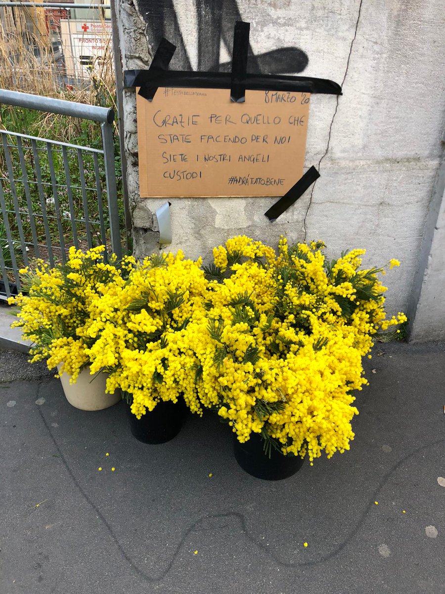 Dal Pronto Soccorso del #PoliclinicoMi, un ringraziamento speciale ai nostri medici e professionisti che in questi giorni stanno lottando per tutti noi. 

Aiutiamoli insieme, restiamo a casa e seguiamo queste semplici regole 👉 bit.ly/2vQ0Jhg

#FermiamoloInsieme
