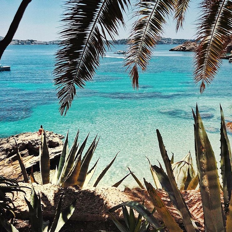 This is our little piece of paradise. This is Cala Fornells &amp; is located right in front of our hotel. Pic by: <a href="/marinephara/">phara</a>. 

#HotelCoronadoSpa #Paguera #Mallorca #Holidays #beach #vacation #Palma #beautifulbay #turqouisewater