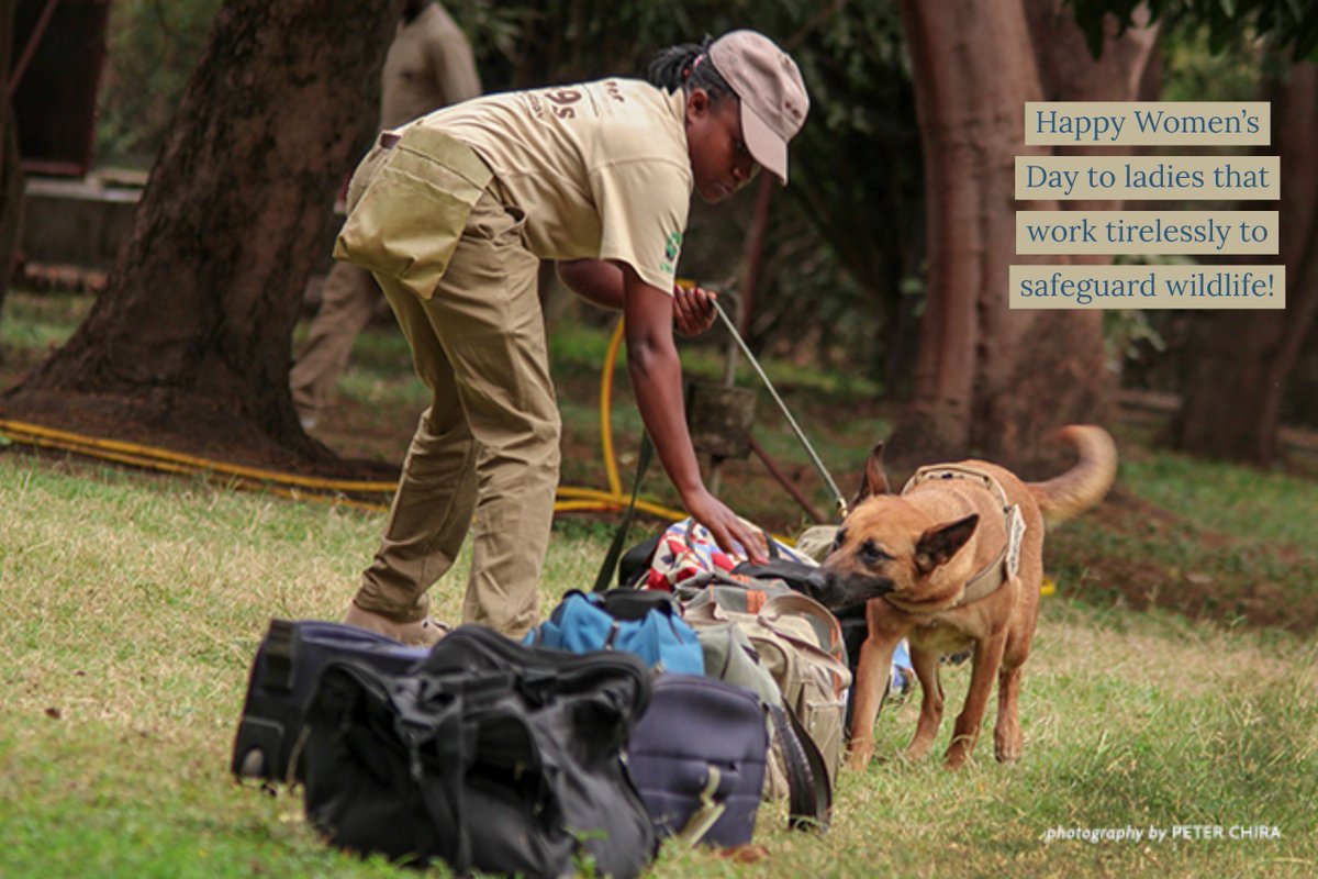 To you Women in Conservation! Photo Credit: Peter Chira