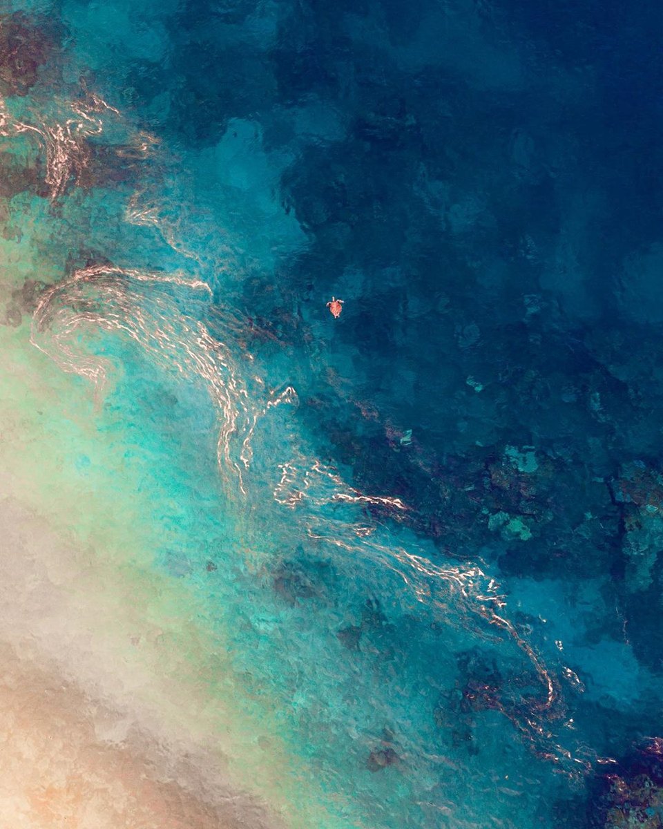 Cairns & Great Barrier Reef tweet media