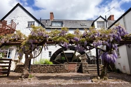 millenddevon's tweet image. "Heavenly" February 2020 Trip Advisor review

No more words needed... (other than THANK YOU)

#hotelreviewsdevon #chagfordhotel #devonhotel #dartmoorhotel #guestsloveus #comevisitus #nowbooking