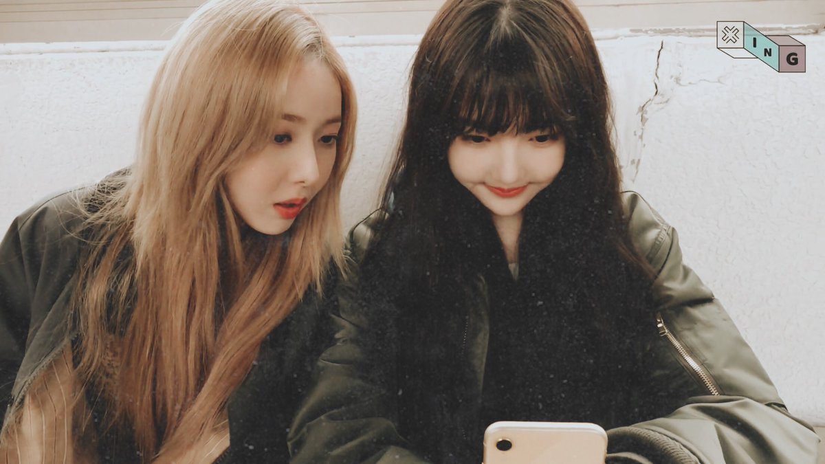 dearY0819's tweet photo. Cuties🐻🐯 https://t.co/WZ3wu0F7eM