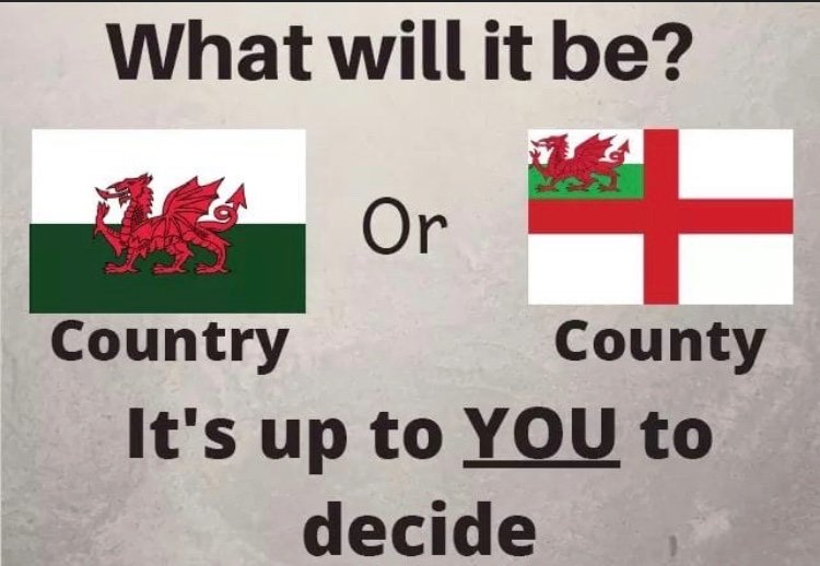 Dim ond un opsiwn i mi! ❤