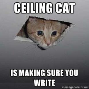 writers_hq's tweet photo. Get on with it. #writetip #MondayMotivation https://t.co/hAKknelDSg