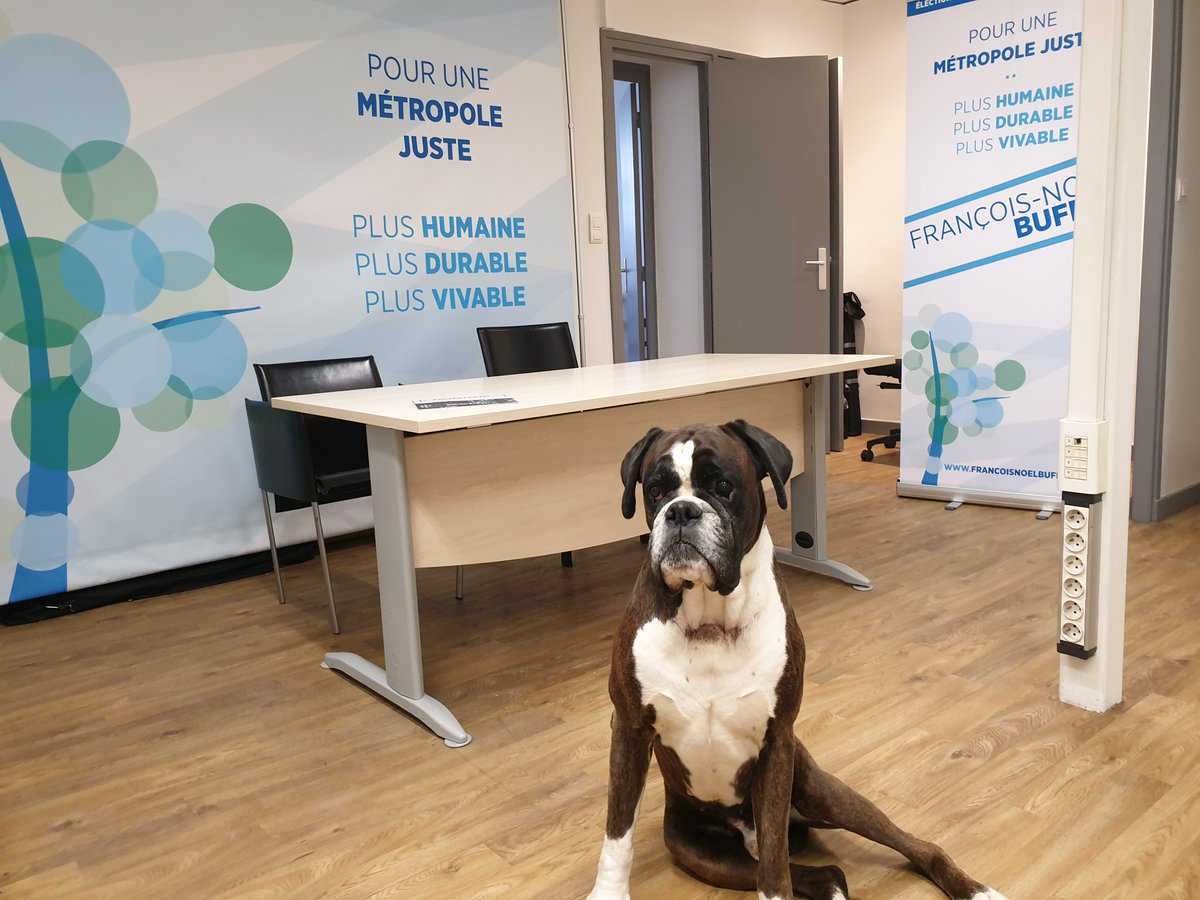 fnb_officiel's tweet photo. Le chien fait partie intégrante des familles. Nous souhaitons améliorer sa place dans l'espace métropolitain et voulons que le bien-être animal soit compris dans la vie quotidienne. Défendons la cause canine, et Diego l'approuve !
#métropole2020 #compagnonsduquotidien #plushumain https://t.co/SbxLg9Op8j