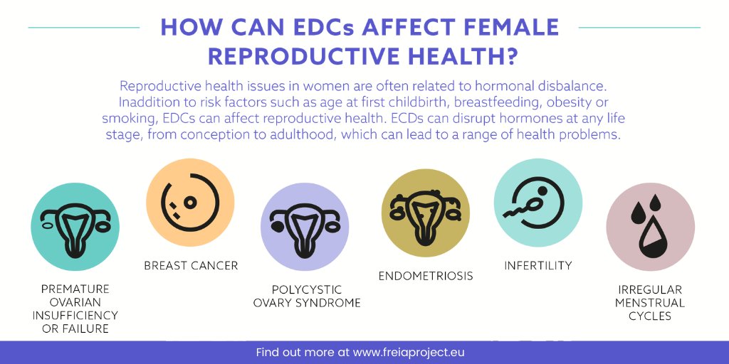 It’s beyond a doubt #EndocrineDisruptors impact health. But there is surprisingly little known about how these toxic chemicals can harm female reproductive health. 

Download our NEW factsheet &amp; infographic to find out how we are planning to change this ➡️ bit.ly/3322aFv