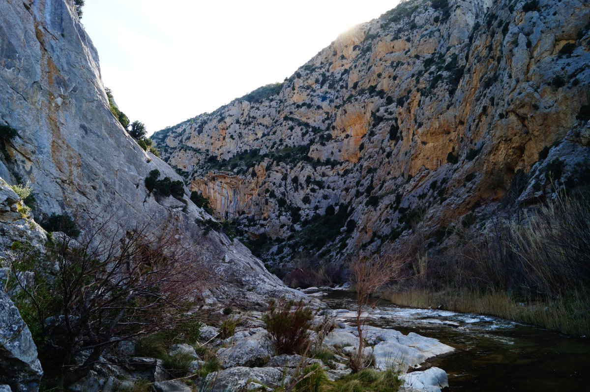 laurylang's tweet photo. #balade et #découverte des Gorges de Gouleyrous #payscatalan #tourismePO #occitanie #photography #nature #FranceMagique  🏞️💦
👉👉https://t.co/wpMeEc4Hc7 https://t.co/NC5TDO07IR