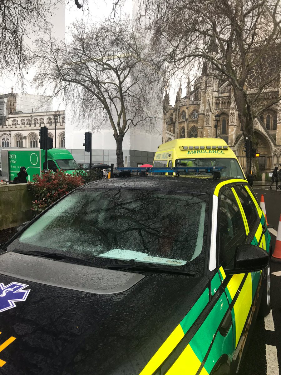 FACLTD's tweet photo. #TeamFAC keeping event attendees safe yesterday in Parliament Square #March4Women #MarchForWomen #ParliamentSquare #Londonevents #paramedic #nurse #FirstAid #FirstAidCover #eventprofs #eventplanning #eventorganiser https://t.co/Gxx4TfYxtf