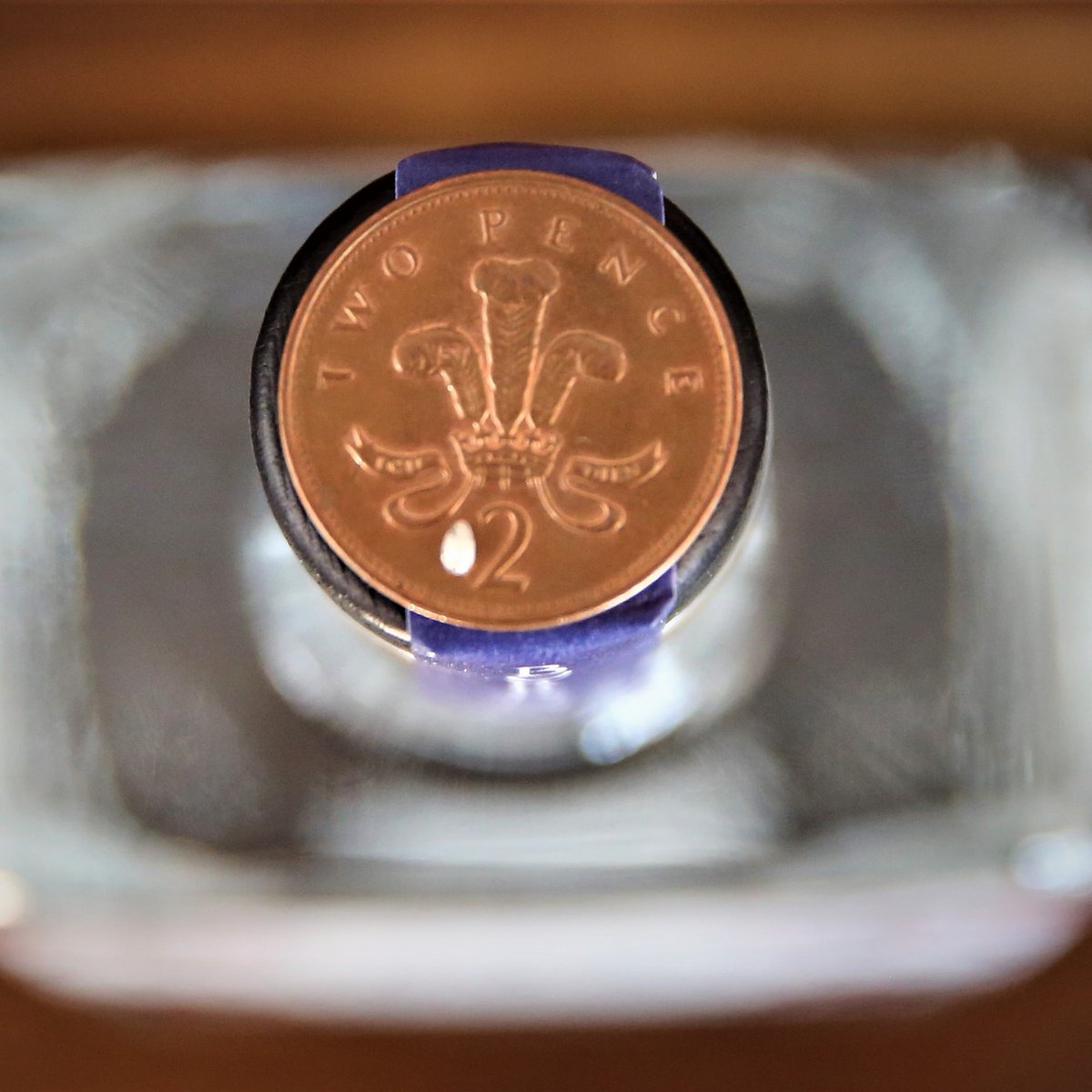 Borrago | Non-Alcoholic Spirit (@borragodrinks) on Twitter photo We think we have created the world's smallest Easter egg, smaller than a 2 on a 2p coin and it's all for charity. Donations will go to the <a href="/BumblebeeTrust/">Bumblebee Conservation Trust</a> to help #savethebees.
Something tiny can make a big difference.
#pressrelease #pressrequest #journorequest #charity We think we have created the world's smallest Easter egg, smaller than a 2 on a 2p coin and it's all for charity. Donations will go to the <a href="/BumblebeeTrust/">Bumblebee Conservation Trust</a> to help #savethebees.
Something tiny can make a big difference.
#pressrelease #pressrequest #journorequest #charity
