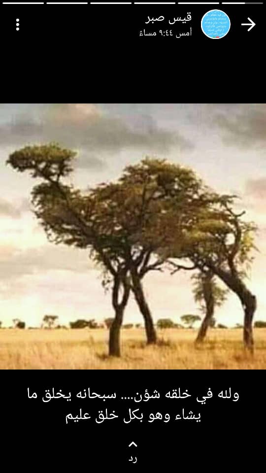فهمي عبدالوكيل راجح الصبيحي (@asdm000073) on Twitter photo 