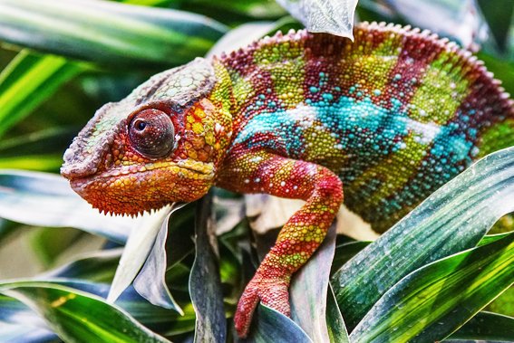 Discover Your Inner Adventurer - mailchi.mp/68515376f346/d…