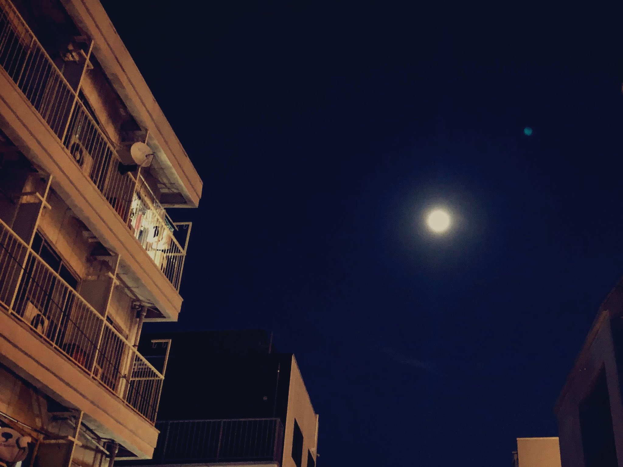 Twitter 上的 アイ 夢に見た景色がウソならば 僕ら多分 あわれな影法師 どこからか 涙が流れ出て 月に咲く花のようになるの サンボマスターを聴いていると時々泣きそうになる 暑苦しくて照れ臭くて一時期あまり聴かなくなっていたあの声と歌詞はこんなにも優しかった