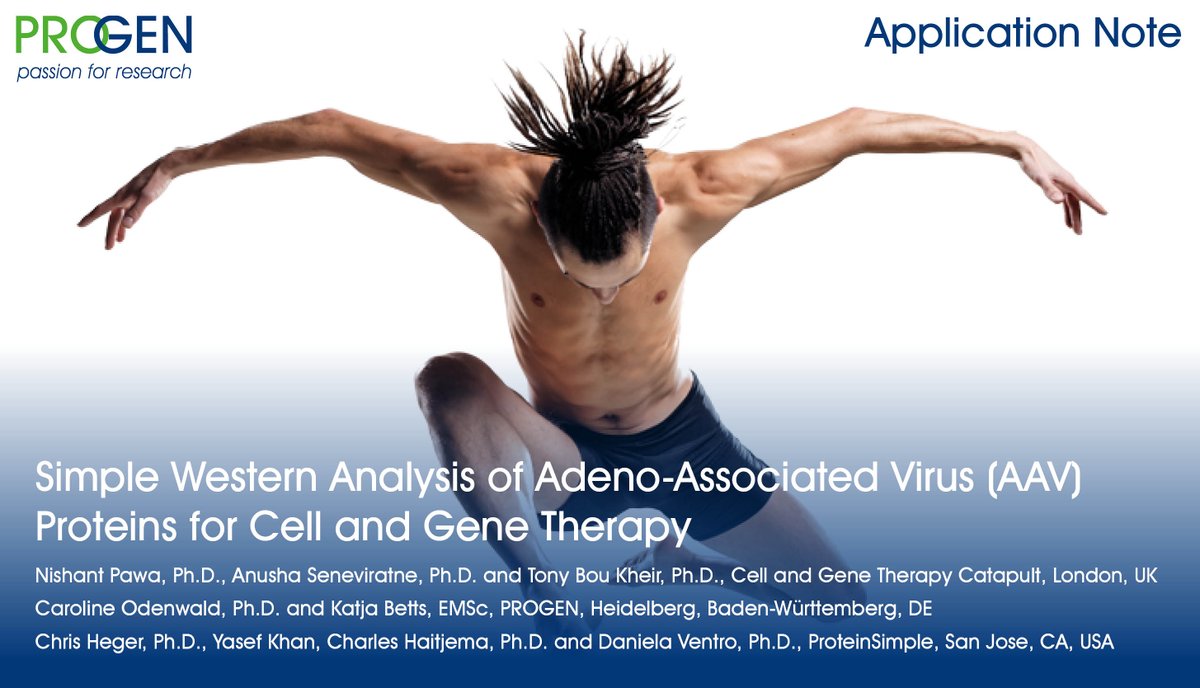 Progen_Biotech's tweet image. Simplify your AAV protein analysis! - Analyze the quality of your #AAV preparation or check for #protein #content with PROGEN´s #AAV #antibodies. Learn more about fully automated #Simple #Western assays using PROGEN´s B1 #antibody. mailchi.mp/progen.com/aav…