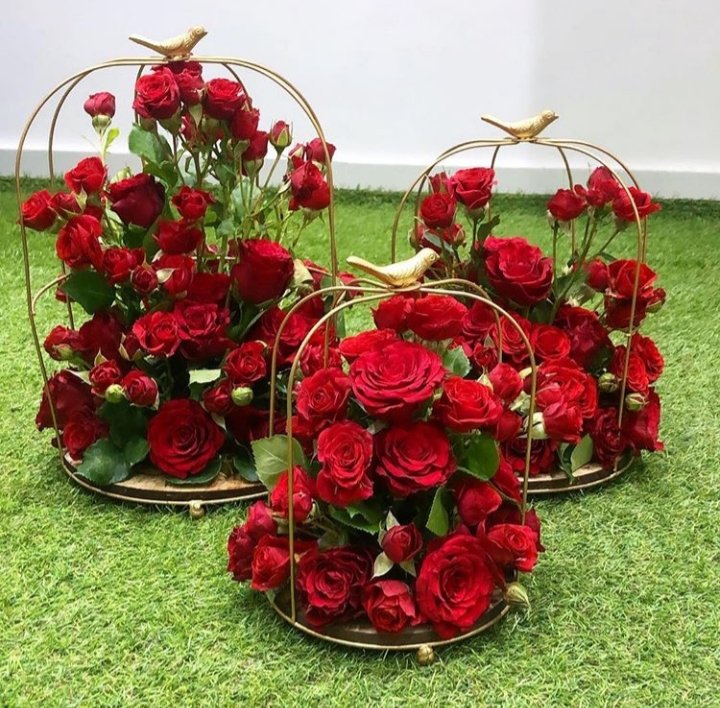 رسالة حب واحترام بمناسبة #يوم_العالمي_للمرأة كل عام والمرأة الجزائرية والعربية بألف خير دمتم ❤️