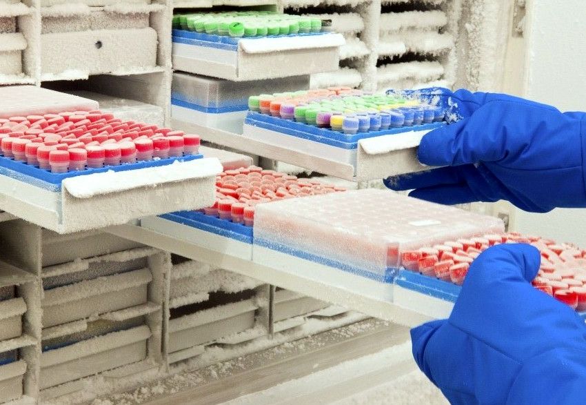 Infosalut (@infosalut) on Twitter photo #PublicaSalutIB Estrategia basada en la evidencia para la evaluación de la calidad de muestras de tejido humano buff.ly/2VY3rvG <a href="/idisbaib/">IdISBa</a> <a href="/SonEspases/">HU Son Espases</a> buff.ly/2PZDc4t @CIBERES <a href="/margesteva/">Marga Esteva</a> <a href="/crispbpciberes/">Cristina Villena</a> #PublicaSalutIB Estrategia basada en la evidencia para la evaluación de la calidad de muestras de tejido humano buff.ly/2VY3rvG <a href="/idisbaib/">IdISBa</a> <a href="/SonEspases/">HU Son Espases</a> buff.ly/2PZDc4t @CIBERES <a href="/margesteva/">Marga Esteva</a> <a href="/crispbpciberes/">Cristina Villena</a>