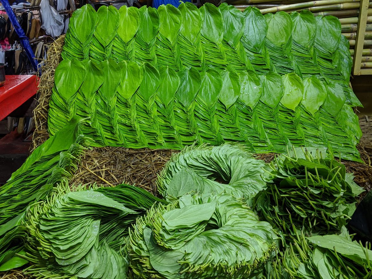 HiHyderabad's tweet photo. 💚💚💚💚 #PAAN 💚💚💚💚

This heart-shaped leaf is loaded with good health. From using it in prayers and religious ceremonies to eating it in the form of a '#paan', #betelleaves contain many curative and healing health benefits. #Hyderabad #StreetPhotography 
@TSVendors https://t.co/vygyvN0JnR