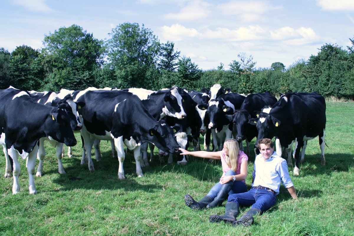 When you buy a Dorset Dairy Co product this is who you are supporting: our herd, our farm, our employees and our family #buylocal #backbritishfarming #useitorloseit