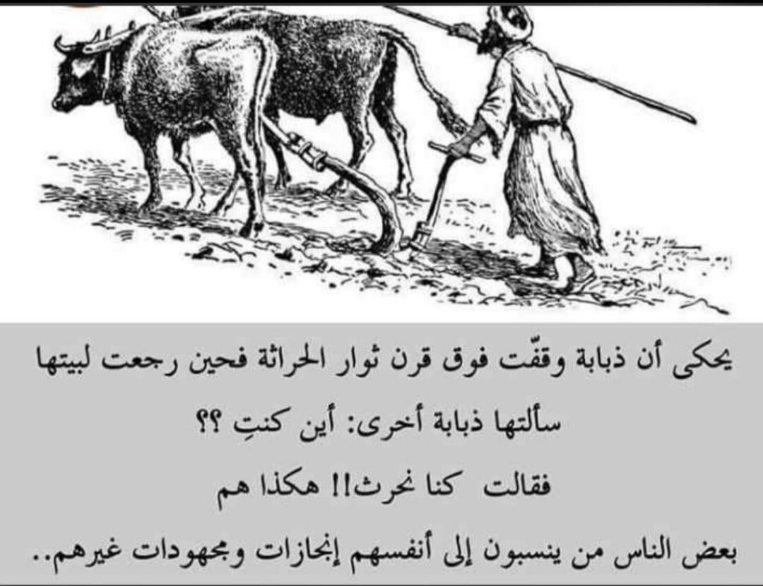 بدر (@alkalbanibmh) on Twitter photo 