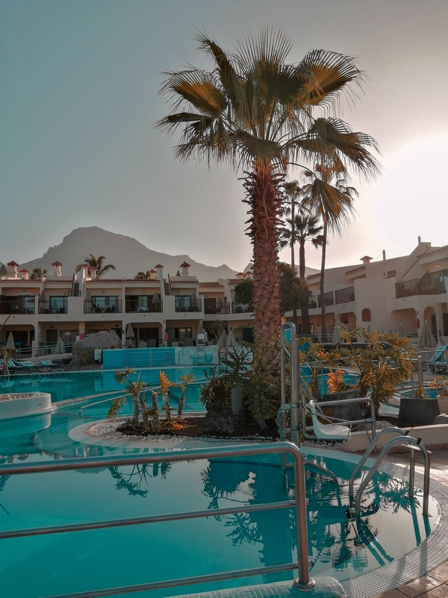 Claudia García tweet media