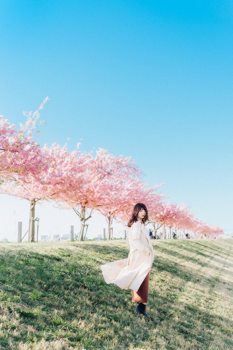arca_0105's tweet photo. 夢見たいな桜並木に
春の訪れを感じた。 https://t.co/SIWPnjhEq9
