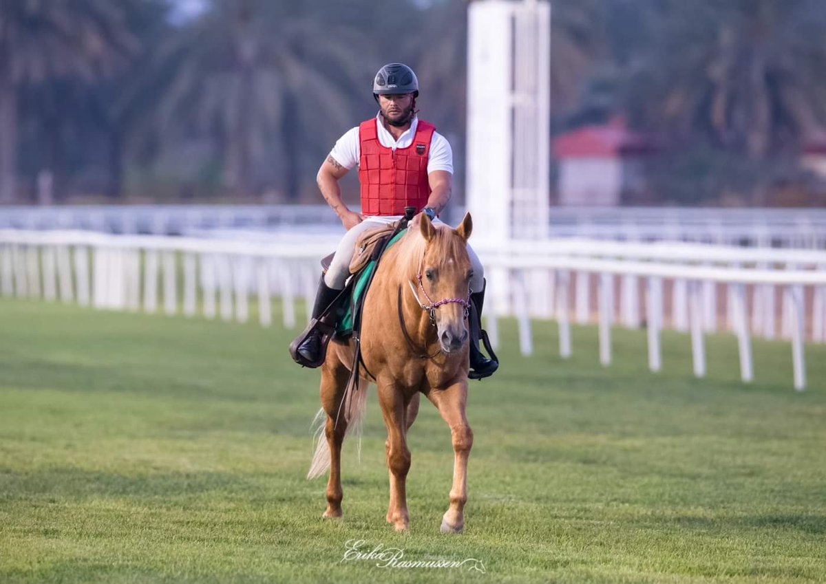 zaanthompson's tweet photo. Lone Ranger... @abudhabiequestrianclub Paladio ( Golden Boy) 📸@erikarphotography  #outrider #horseracing #quarterhorse #sunsethalters #meydan #emiratesracing #emirates #mydubai #uae #dwccarnival #dwcc2020 ... https://t.co/EESrwUUNaR