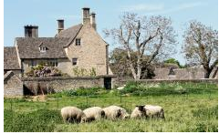 Spring has arrived at Cogges Manor Farm. Cogges re-opens on Saturday 14th March <a href="/moreWitney/">WitneyVIC</a> <a href="/CoggesWitney/">Cogges Manor Farm</a>