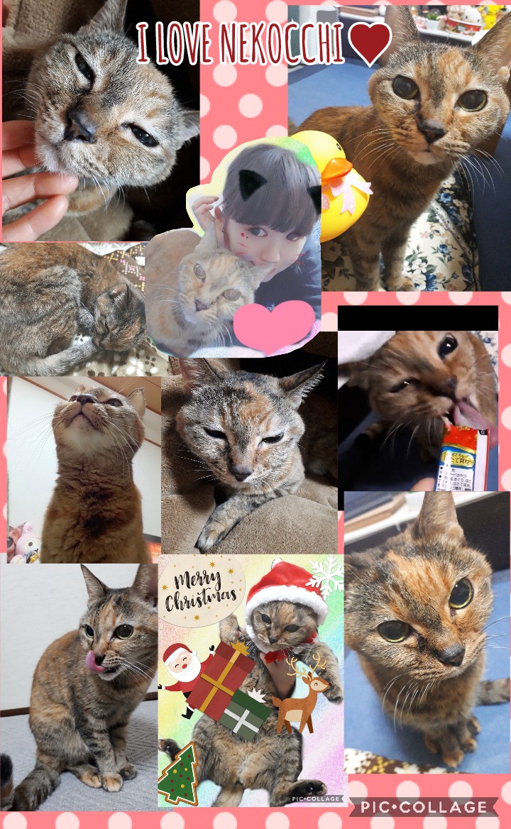 サワ tweet media