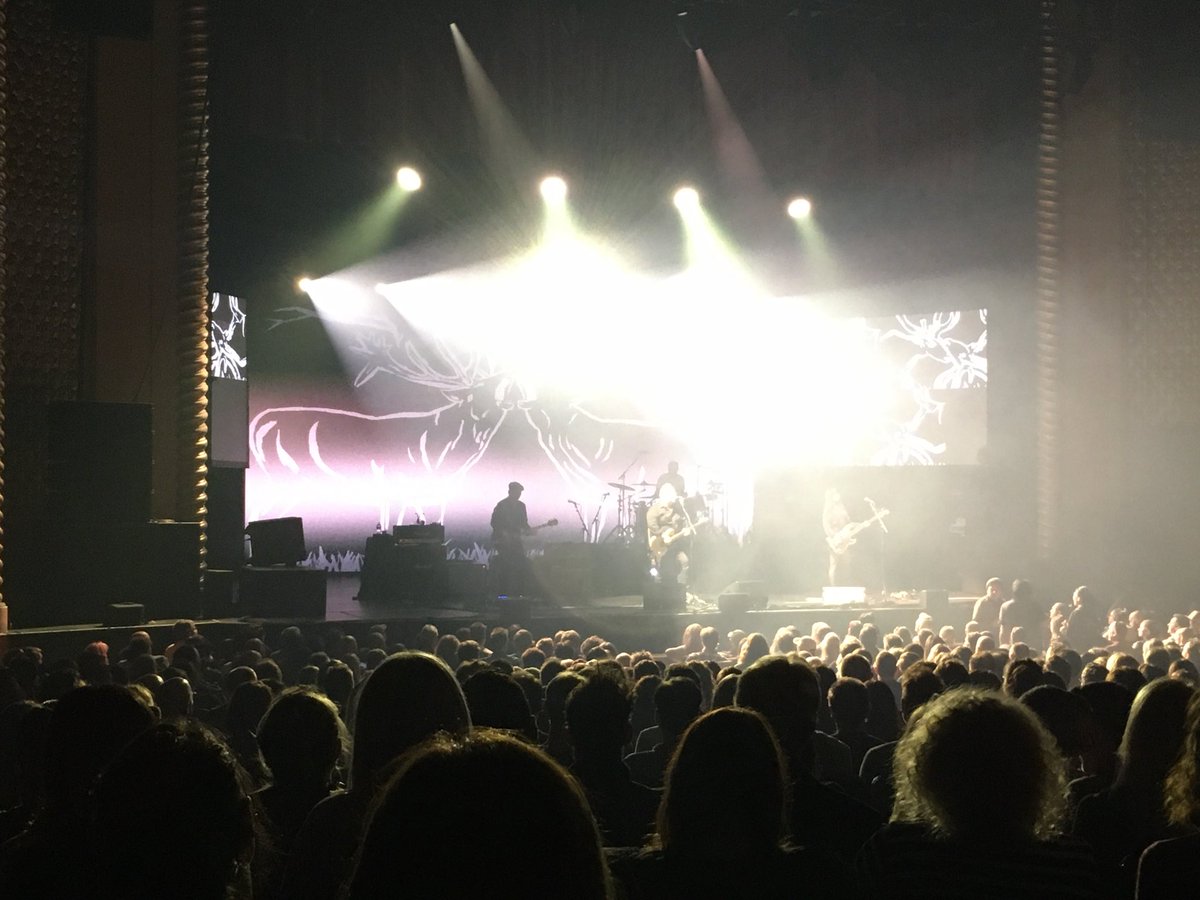 roamingrae's tweet photo. Pixies Caribou https://t.co/nTLDBHky6u