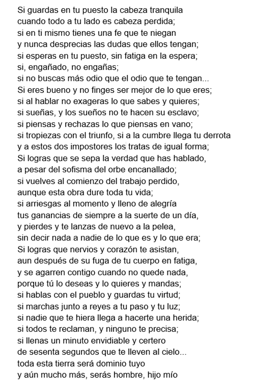 Rafael Tímermans tweet media