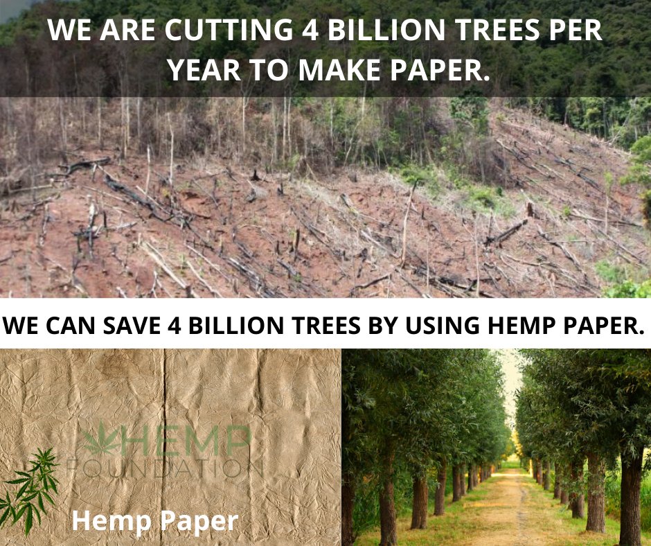FoundationHemp's tweet photo. Why We Use Hemp 🌿Paper ?👇
✅"1 acre of Hemp can produce as much paper as 4-10 acres of trees over a 20 year cycle".✅
#hemp #hempclothing #hempproducts #hempnews #hemprope #hempoil #hempseeds #hempfabric #hemptextile #cbd #cbdoil #cbdproducts https://t.co/26nvZUR0ut