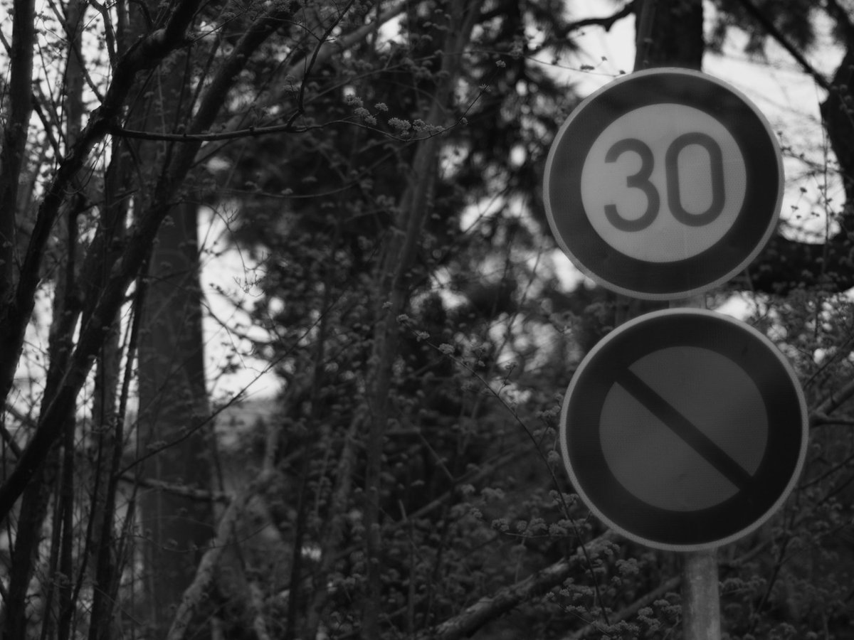 ymtbi's tweet photo. お散歩の成果。
とりあえずpenfで遊んでみました。
pen f + om 50mm f1.4
#penf https://t.co/v8M59ZaC11